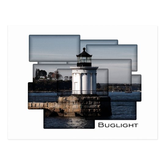 Bug Light Painting Postcard