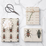 Bug Lover Insect Pattern All Occassion Wrapping Paper Sheet<br><div class="desc">Features illustrations of insects from an antique lithograph illustration on vintage paper background for a classic look. With its scientific style and its realistic illustrations naturalists and bug lovers of all ages will appreciate the patterns. Red,  black and cream colour palette.</div>