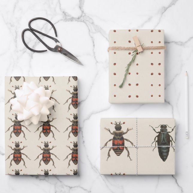 Bug Lover Insect Pattern All Occassion Wrapping Paper Sheet (Front)