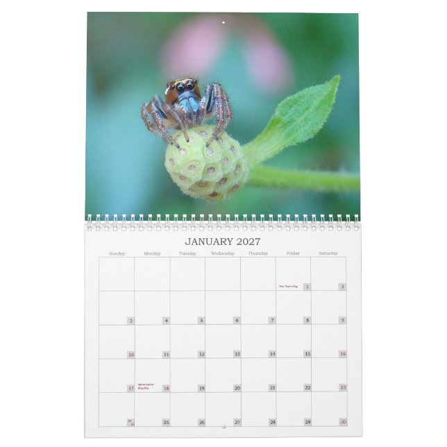 Bug Me! Calendar (Jan 2027)