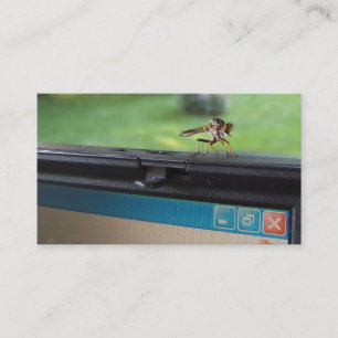 Bug on System ~ biz card