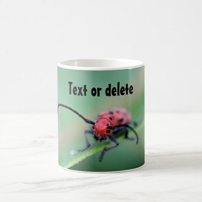 Bug With Attitude Funny Personalized Coffee Mug (Center)