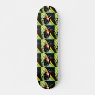 Bugged Out Skateboard