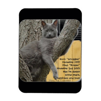 Bugger Baby 1997 to 2015 Magnet