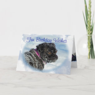 Buggs Dog in Snow card-customise any occasion Card