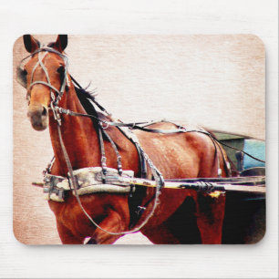 Buggy Horse Mouse Mat