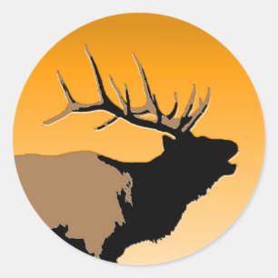 Bugling Bull Elk at Sunset Original Wildlife Art Classic Round Sticker