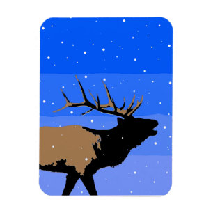 Bugling Elk in Winter  - Original Wildlife Art Magnet