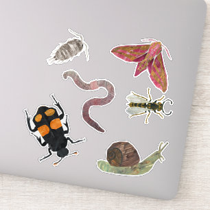 bugs