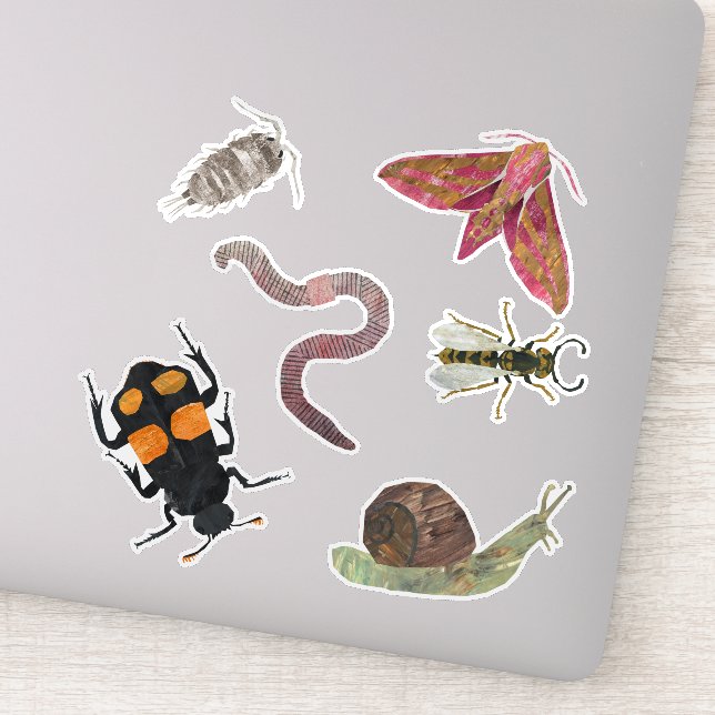 bugs (Detail)
