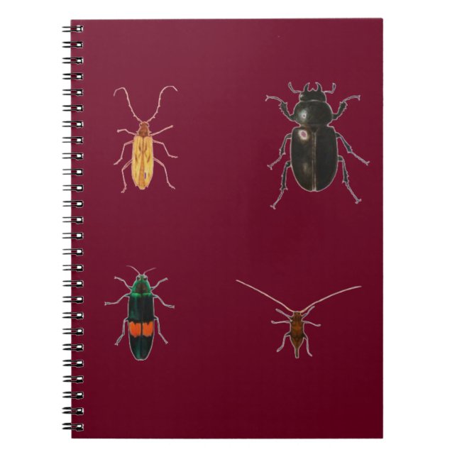Bugs 2011 notebook (Front)