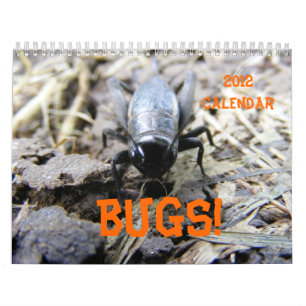 BUGS! 2012 Calendar