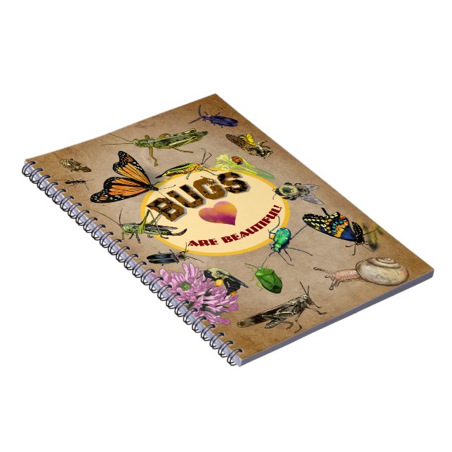 Bugs are Beautiful! Insects Notebook (Right Side)