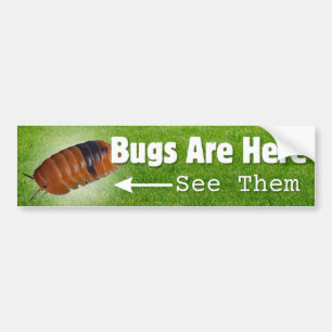 Bugs Are Here...Isopod Edition Bumper Sticker