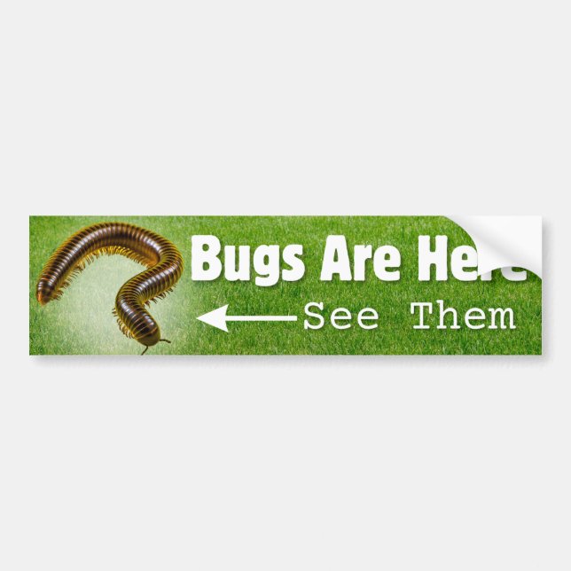 Bugs Are Here...Millipede Edition  Bumper Sticker (Front)