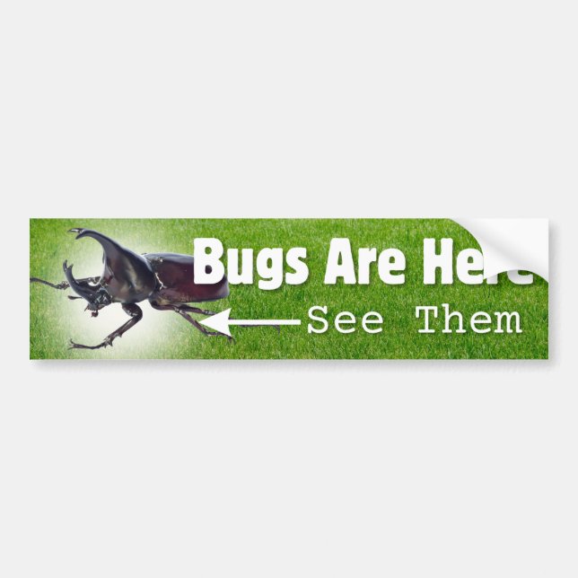 Bugs Are Here... Rhino Beetle Bumper Sticker (Front)