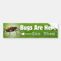 Bugs Are Here... Weevil Edition Bumper Sticker