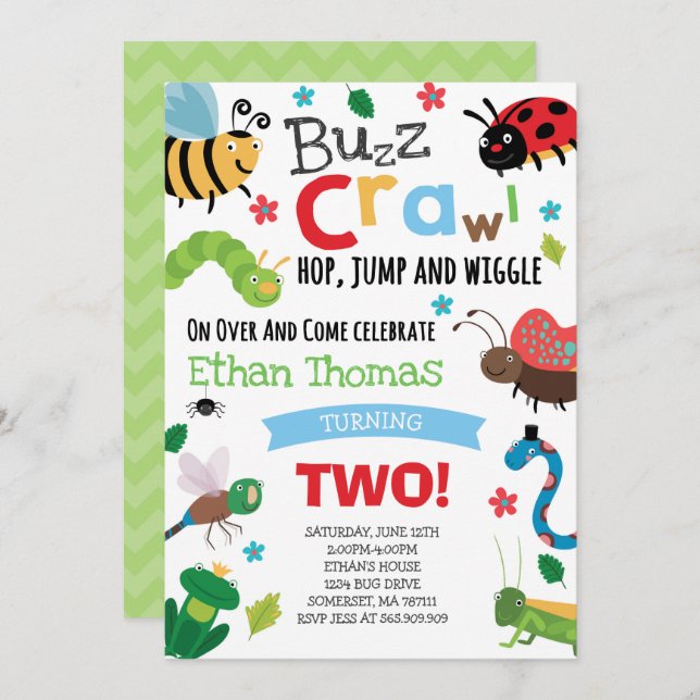 Bugs Birthday Invitation Boy Bugs Birthday Party (Front/Back)