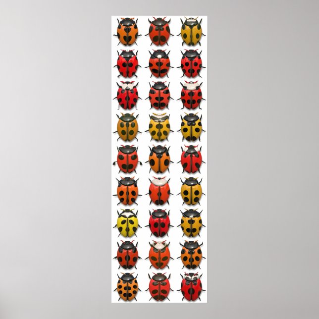 Bugs, Bugs, Bugs - Bugs Pattern Poster (Front)