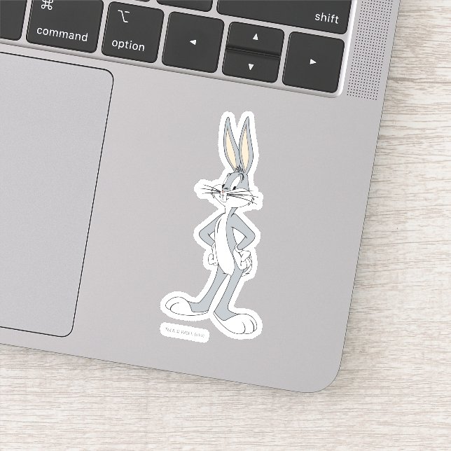 BUGS BUNNY™ | Hands on Hips (Detail)