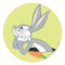 BUGS BUNNY™ with Carrot