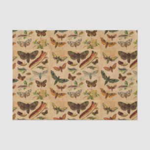 Bugs & Butterflies Vintage Stained Paper Pattern