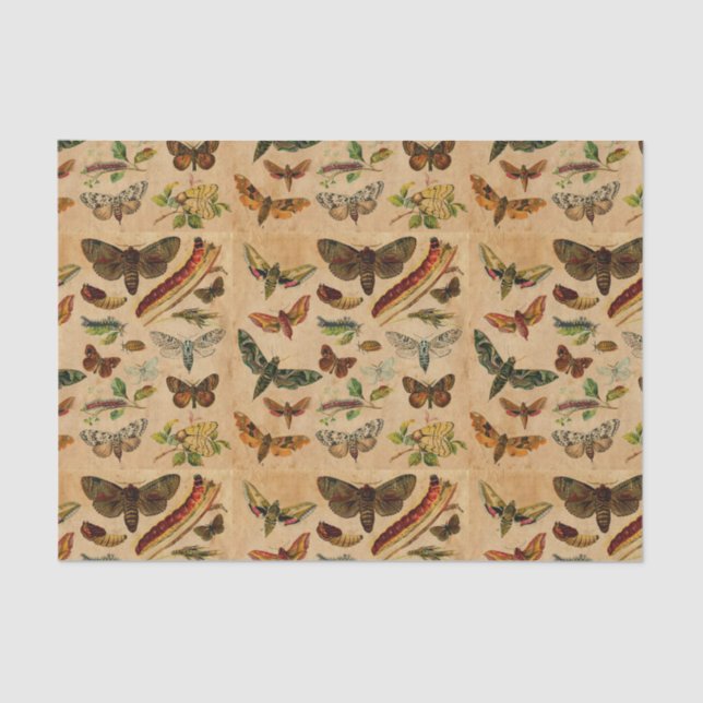 Bugs & Butterflies Vintage Stained Paper Pattern (Front)