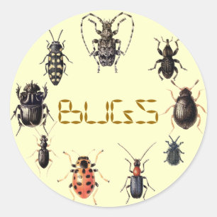 BUGS CLASSIC ROUND STICKER