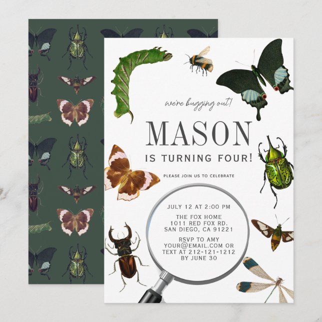 Bugs & Insects Vintage Boy Birthday Invitation (Front/Back)
