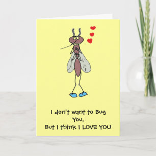 Bugs Love Holiday Card