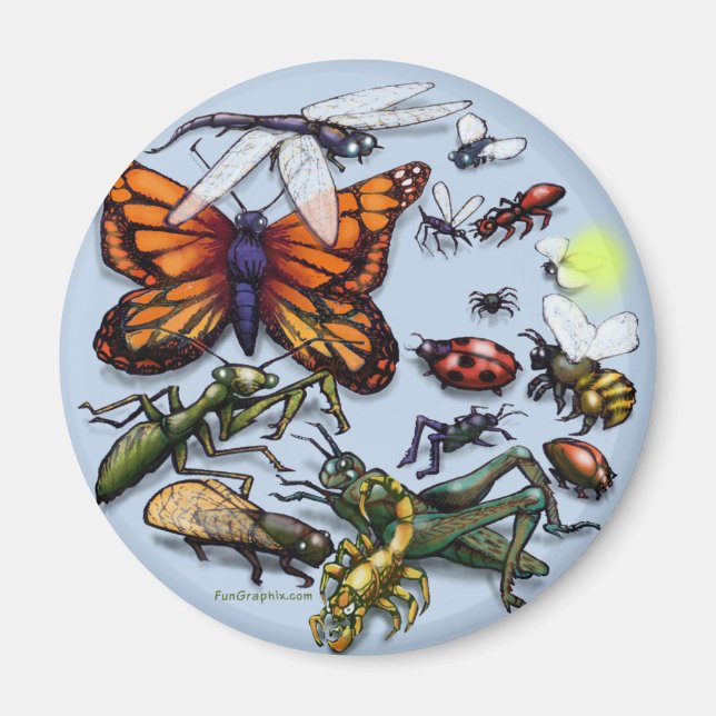 Bugs Magnet (Front)