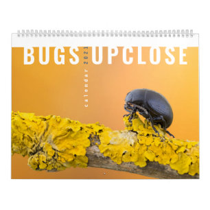 BUGS UPCLOSE 2021 CALENDAR