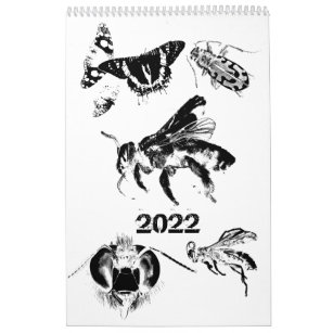 Bugs World - Insects - 2022 Calendar
