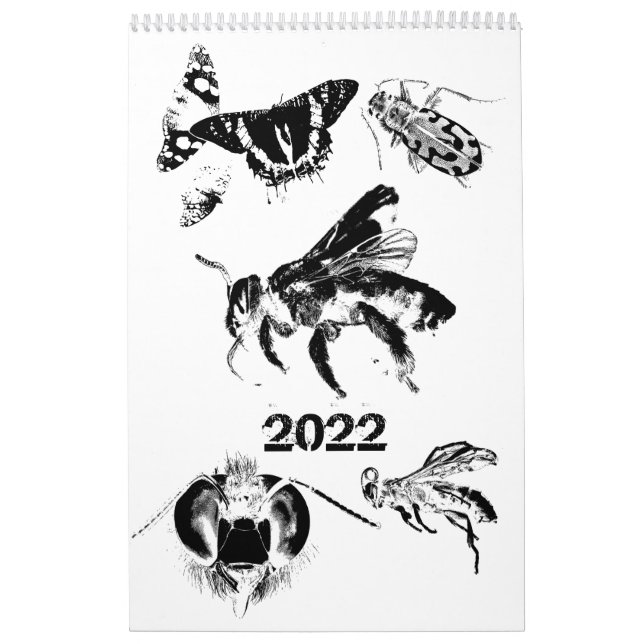 Bugs World - Insects - 2022 Calendar (Cover)