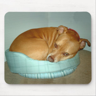 Bugsy Mouse Mat