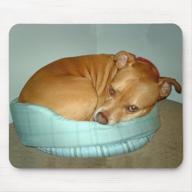 Bugsy Mouse Mat (Front)