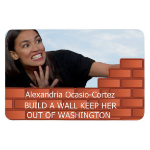 BUILD A WALL MAGNET