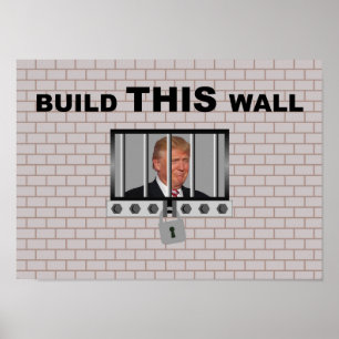 Build THIS wall / Anti Trump, Poster