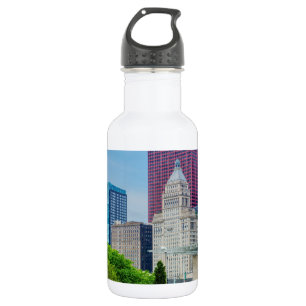 Buildings In Chicago Stainless Steel Water Bottle