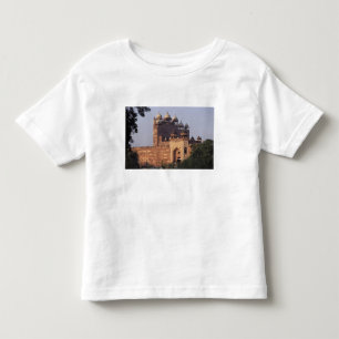 Buland Darwaza Gate of Victory) to the Dargah Toddler T-Shirt