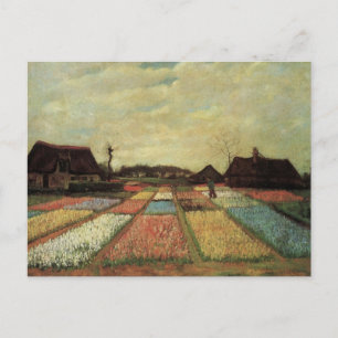 Bulb Fields by Vincent van Gogh Postcard