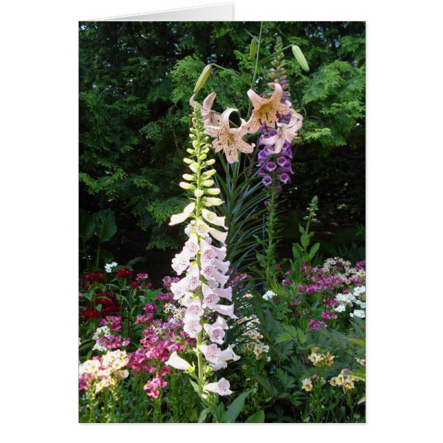 Bulbs in Bloom (Front)