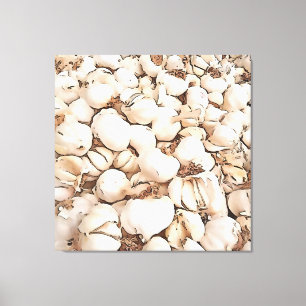 Bulbs Of Garlic Acrylic Art Canvas Print