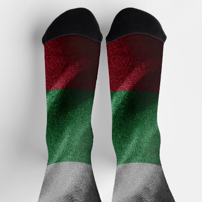 Bulgaria silk flag socks (Top)