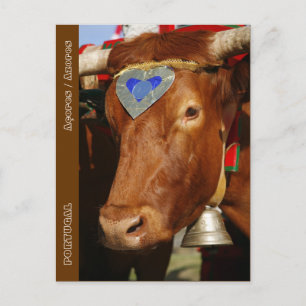 Bull and bell postcard