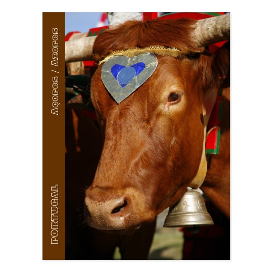 Bull and bell postcard