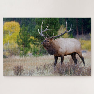 Bull & Aspen Trees   Rocky Mountain National Park Jigsaw Puzzle