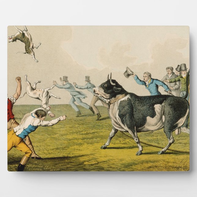 'Bull Baiting', pub. by Thomas McLean, 1820, (prin Plaque (Front)