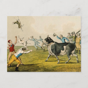 'Bull Baiting', pub. by Thomas McLean, 1820, (prin Postcard