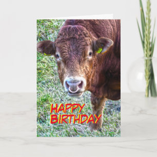 Bull Birthday Card
